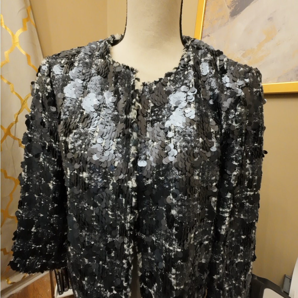 Zara Sequin Embellished Black and Gray Jacket